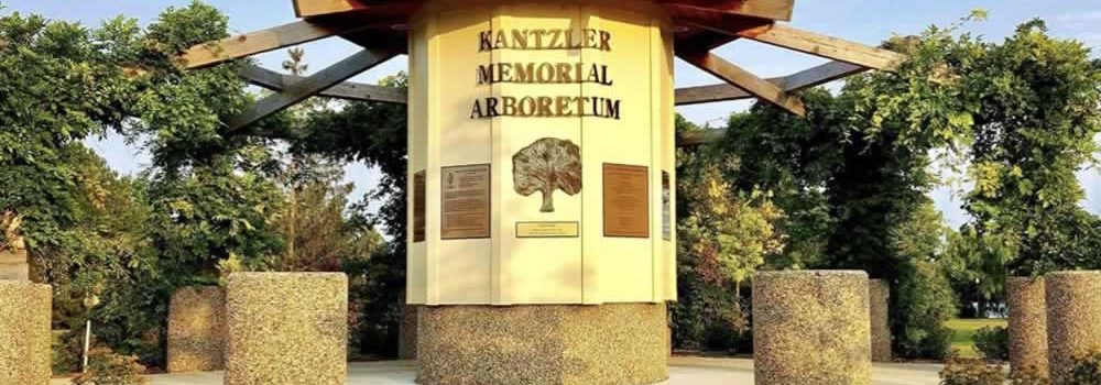Kantzler arboretum