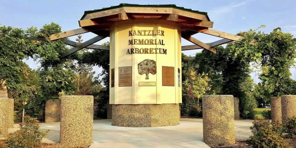 Kantzler arboretum
